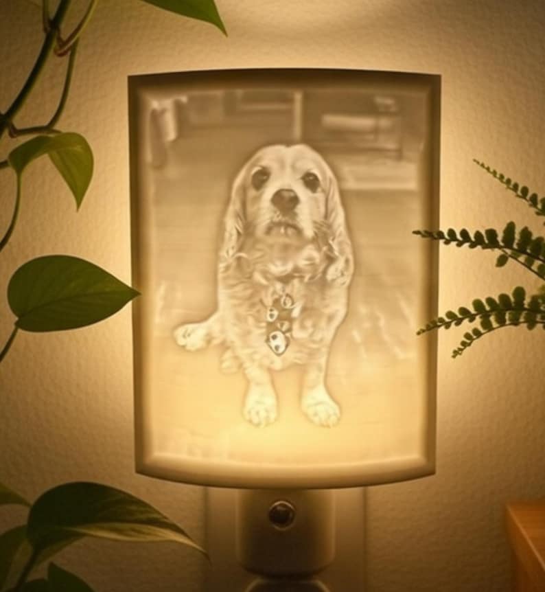 以下が含まれることがあります： 犬の3D画像が描かれた長方形のシェードが付いたナイトライト。犬は明るい色で、長く波打つ毛並みで、首輪をしています。ナイトライトはコンセントに差し込まれており、暖かく柔らかな光を発しています。