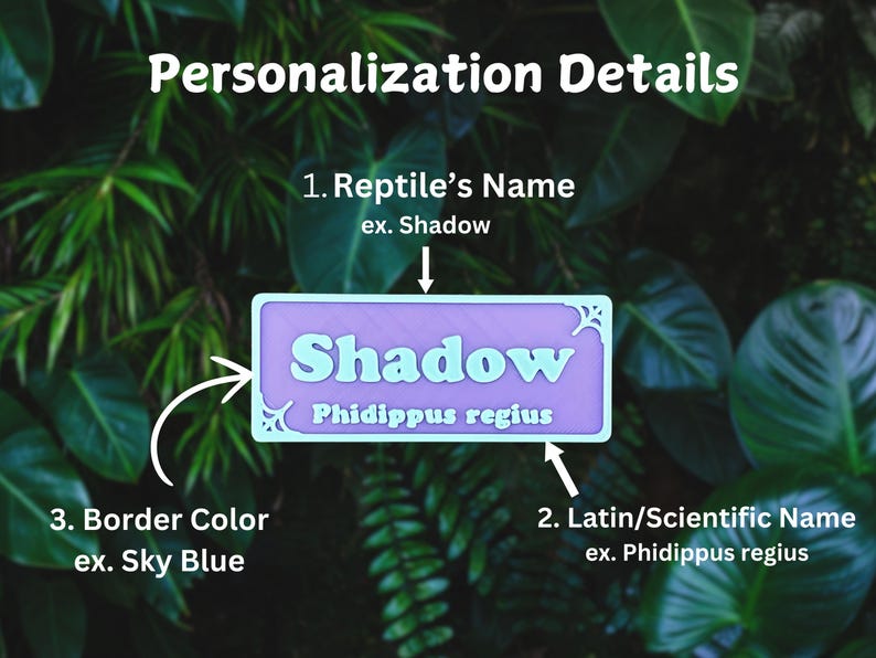 May include: Image showing personalization details for a reptile's name, with the example name "Shadow" and the scientific name "Phidippus regius". The text also indicates the border color can be customized, using "Sky Blue" as an example.