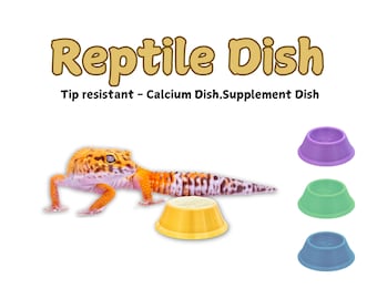 Reptile Calcium Dish, Gecko Supplement Dish, Leopard Gecko Feeding Dish, Gift for Gecko Owners