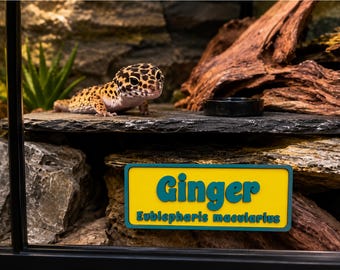 Magnetic Reptile Personalized Name Sign for Leopard Gecko, Crested Gecko, Lizard, Snakes, Hermit Crab with Scientific Name Plate Accessories