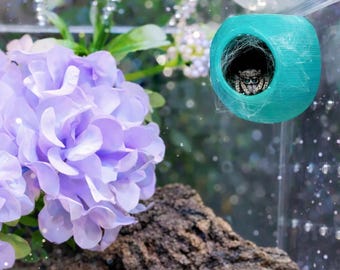 Corner Magnetic Jumping Spider Hide, Custom Enclosure Decor, Slings Vivarium Pet Habitat, Sphere Decorative Accessories, Mourning Gecko Hide