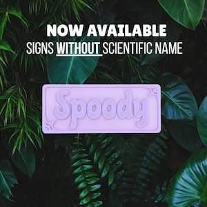 May include: A light purple sign with the name "Spoody" in a decorative font. The sign is rectangular with rounded corners and a floral design. The background is a lush arrangement of green leaves, and the text "NOW AVAILABLE SIGNS WITHOUT SCIENTIFIC NAME" is at the top.