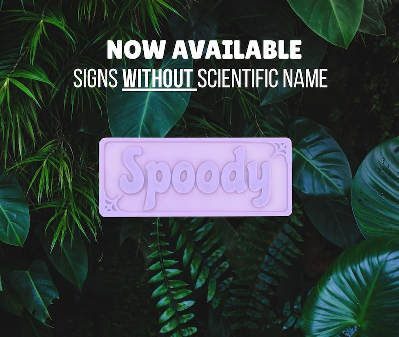 May include: A light purple sign with the name "Spoody" in a decorative font. The sign is rectangular with rounded corners and a floral design. The background is a lush arrangement of green leaves, and the text "NOW AVAILABLE SIGNS WITHOUT SCIENTIFIC NAME" is at the top.