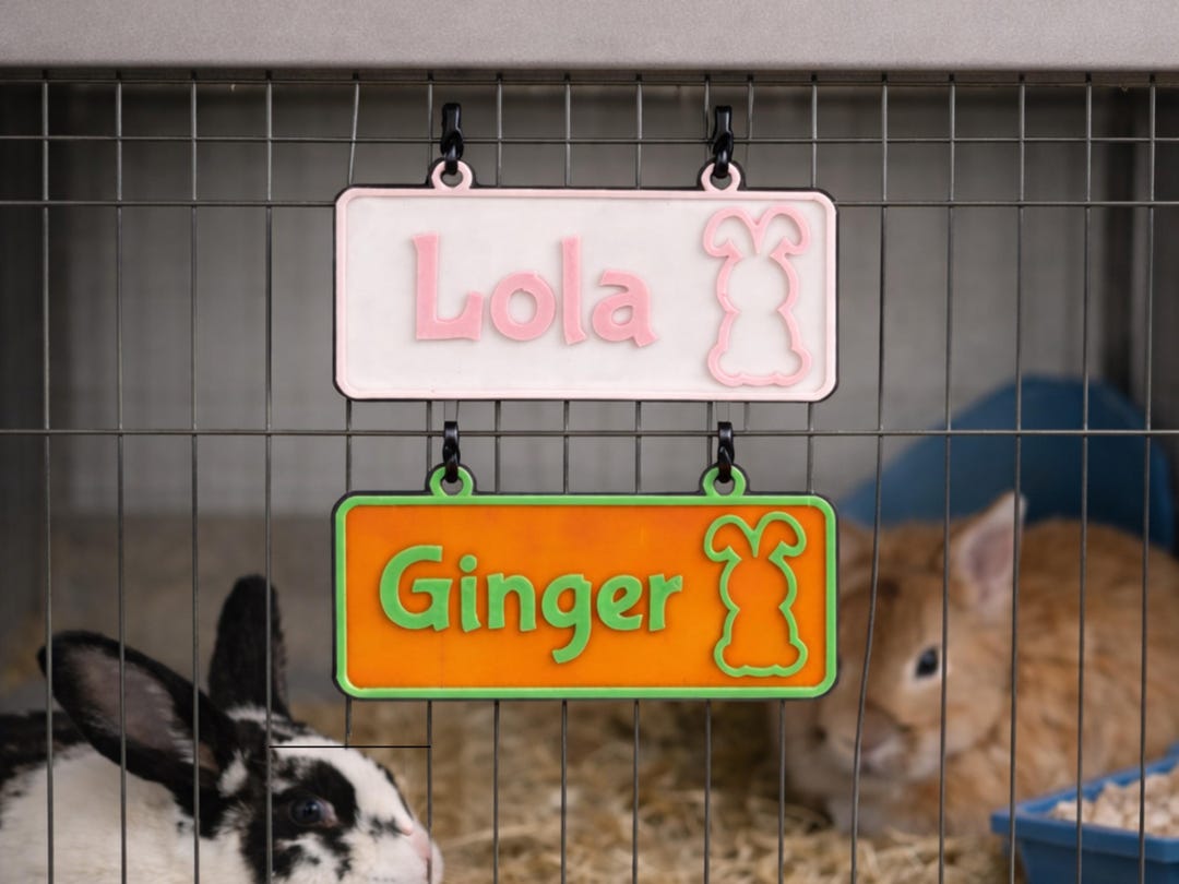 Personalized Rabbit Name Sign, Custom Cage Nameplate, Bunny Hutch Pet ...
