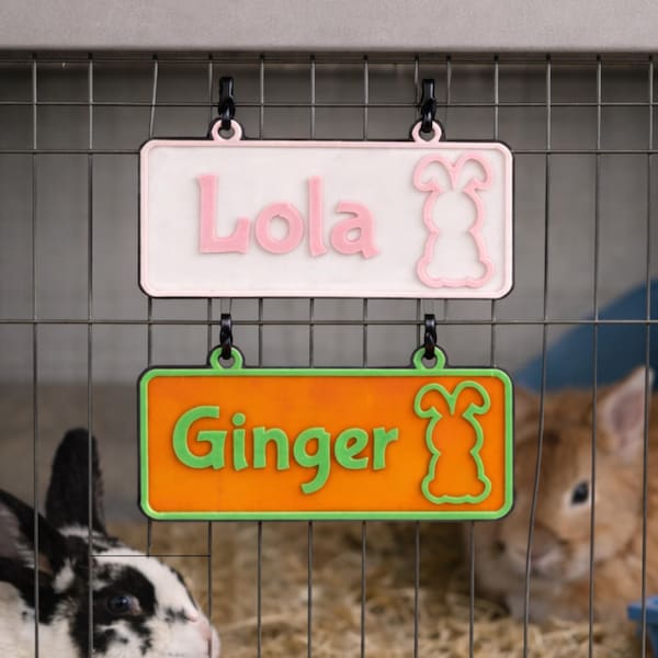 Personalized Rabbit Name Sign, Custom Cage Nameplate, Bunny Hutch Pet Tag, Gift for Bunny Lover