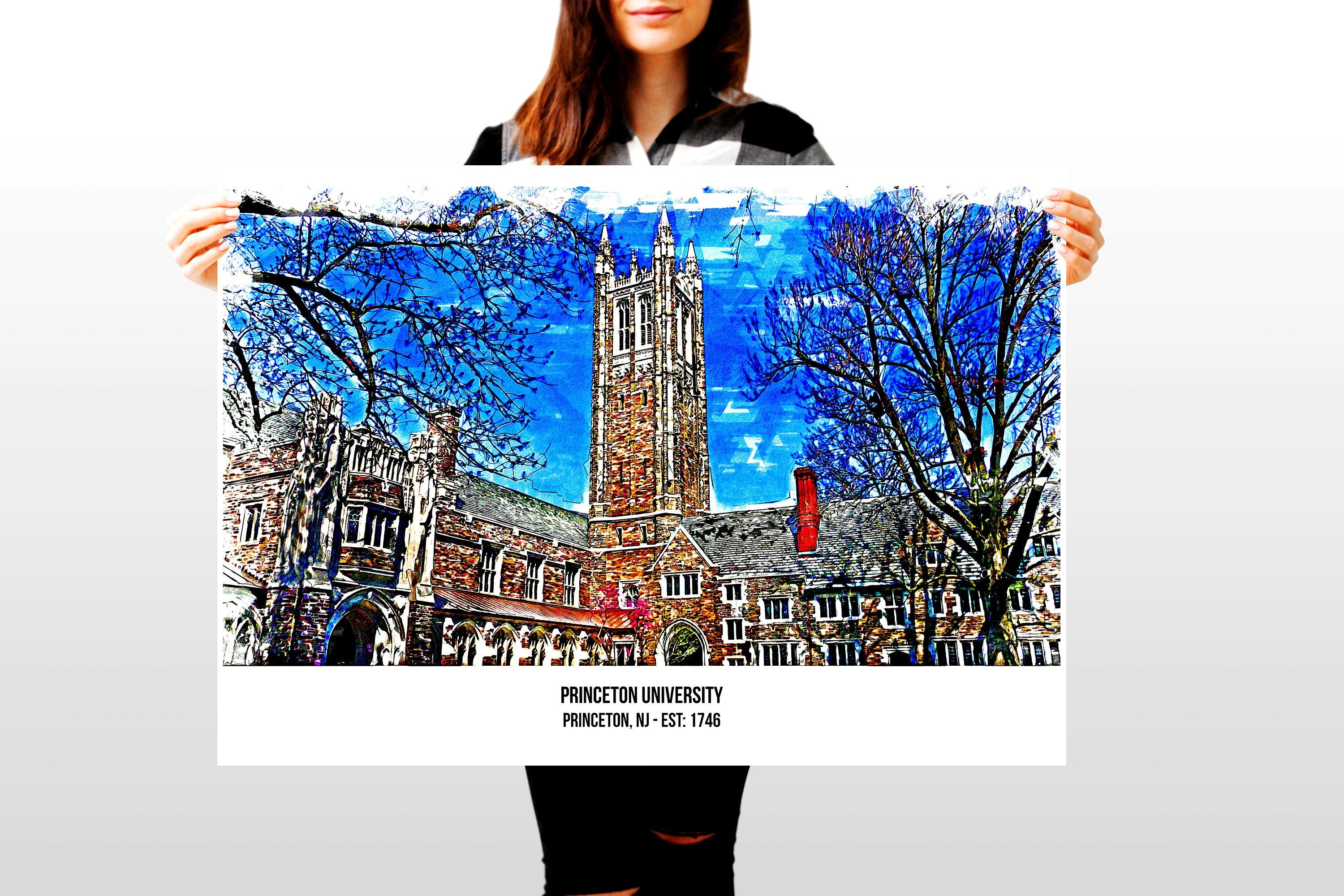 Princeton Tigers Campus Poster Print Princeton University Etsy