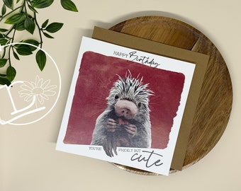 Prickly but Cute / Animal Cards / Porcupine / Greeting Cards / Birthday / Funny / Cute Animal Artwork