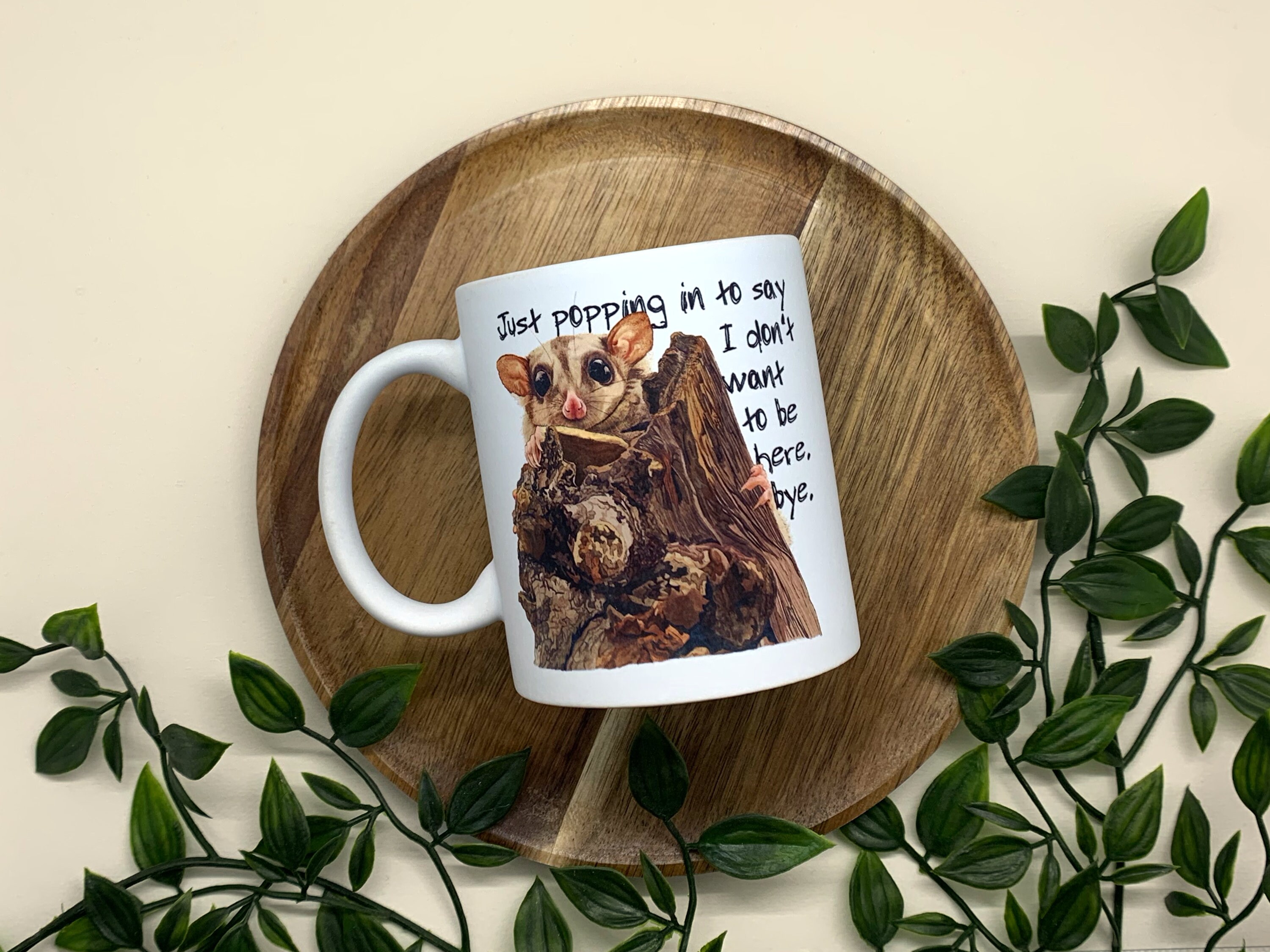 “Hahaha, No. Nope Nah Rather Not” Funny Ceramic Mug – Sarcastic Gift Mug, Dishwasher Safe