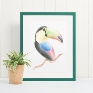 Arte de la pared de aves / Estampado de arte de tucán / Cartel de tucán / Dibujo de tucán / Dibujo de lápices de colores / Dibujo de animales / Dibujo de vida silvestre
