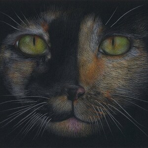 Impresión de arte Cat / Cat / Decoración de pared cat / cartel de gato / dibujo de gato / dibujo a lápiz / dibujo de lápices de colores / Dibujo animal / Dibujo de mascotas