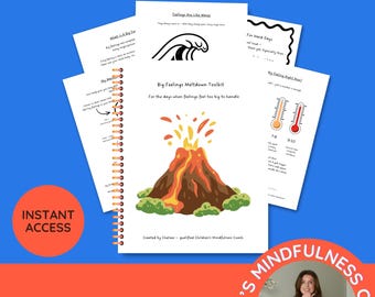 May include: A spiral-bound Children Meltdown Toolkit with a volcano illustration on the cover. The pages include text titled Big Feelings Meltdown Toolkit, Feelings Are Like Waves, and For Hard Days, featuring a thermometer graphic and wave icon.