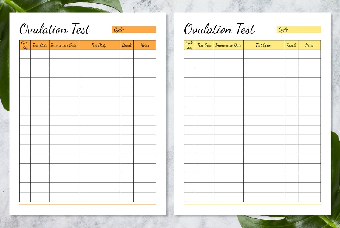Ovulation Tracker Journal Pregnancy Planner Template Etsy