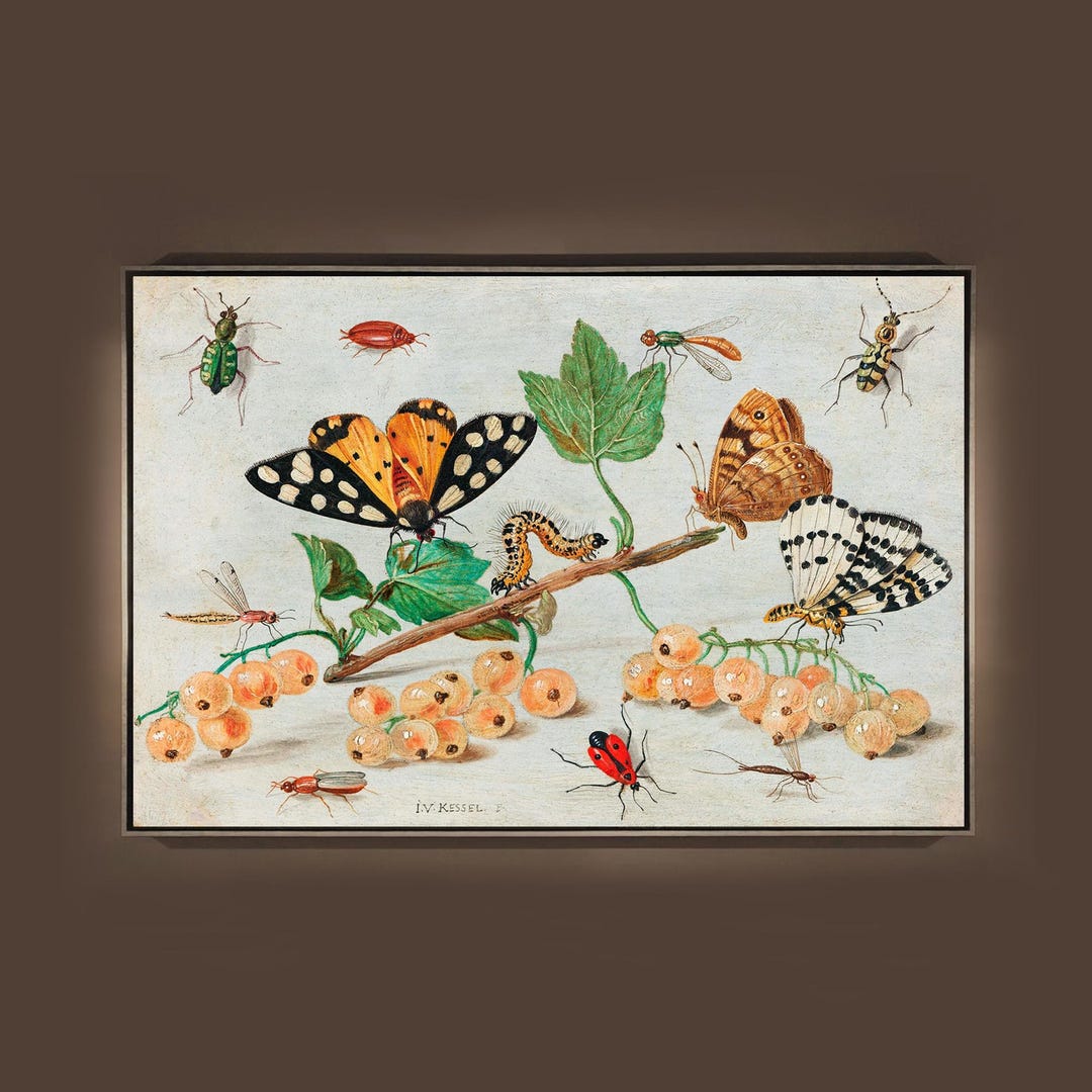 Hand-painted Oil Painting – Insects, Fruits, Nature Still Life Art ...
