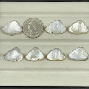 Op de afbeelding: Acht wolk-vormige, iriserende parelmoer kralen, gepresenteerd in een zwarte sieradendoos. Een Amerikaanse kwart dollar munt is inbegrepen ter vergelijking. De kralen hebben een parelmoer witte kleur en een wolkenachtige vorm.