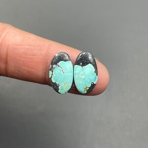 May include: Two oval-shaped turquoise gemstones with a black matrix. The turquoise has a vibrant, light blue color with dark spots and veins. The gemstones are displayed against a neutral background.