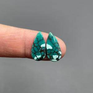 May include: Two teardrop-shaped turquoise gemstones with a dark brown matrix and white inclusions. The stones are held between fingers against a gray background. The gemstones have a polished, glossy finish.