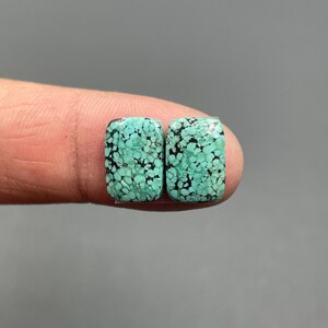 May include: Two rectangular turquoise gemstones with a speckled pattern of dark matrix. The stones are held between fingers, showcasing their polished surface and vibrant color. These gemstones are ideal for jewelry making.