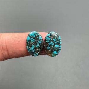 May include: Two oval-shaped turquoise gemstones with a matrix of dark brown and black. The stones have a speckled pattern of light blue and brown. The gemstones are held between fingers.