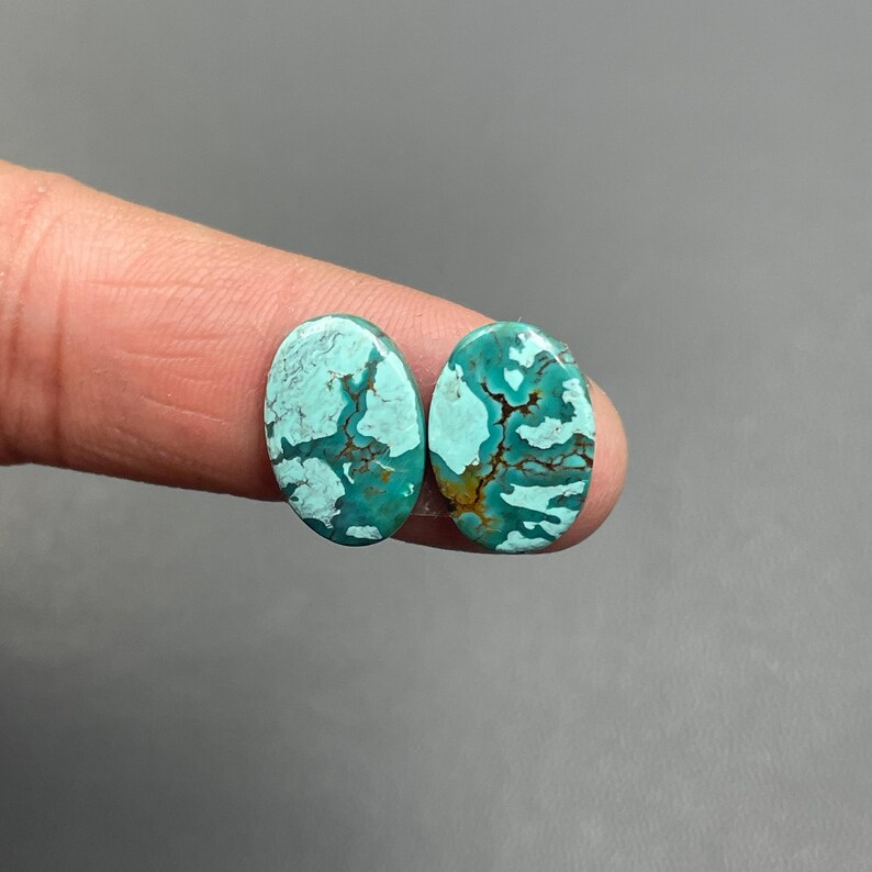 May include: Two oval-shaped turquoise gemstones with intricate brown and black veining patterns. The stones have a polished surface and a vibrant blue-green color. These gemstones are ideal for jewelry making.