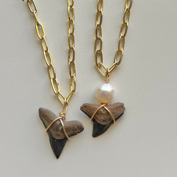 Shark tooth necklace | wire wrapped shark tooth necklace | Paperclip chain shark tooth necklace | Paperclip chain | shark tooth