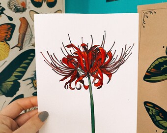 Red Spider Lily Etsy