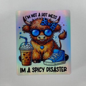 I'm Not A Hot Mess I'm A Spicy Disaster, grappige stickers, etiketten, opvliegers, holografisch zilver, laptop, plakboek, dagboekstickers, dieren