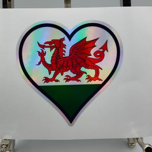 Puede incluir: Una pegatina en forma de corazón con un dragón rojo y fondo verde. La pegatina tiene un acabado holográfico.