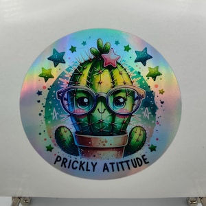 Cactus con actitud espinosa, pegatinas divertidas y adorables, plantas, pinchos, plantas del desierto, pegatinas holográficas, calcomanías, etiquetas