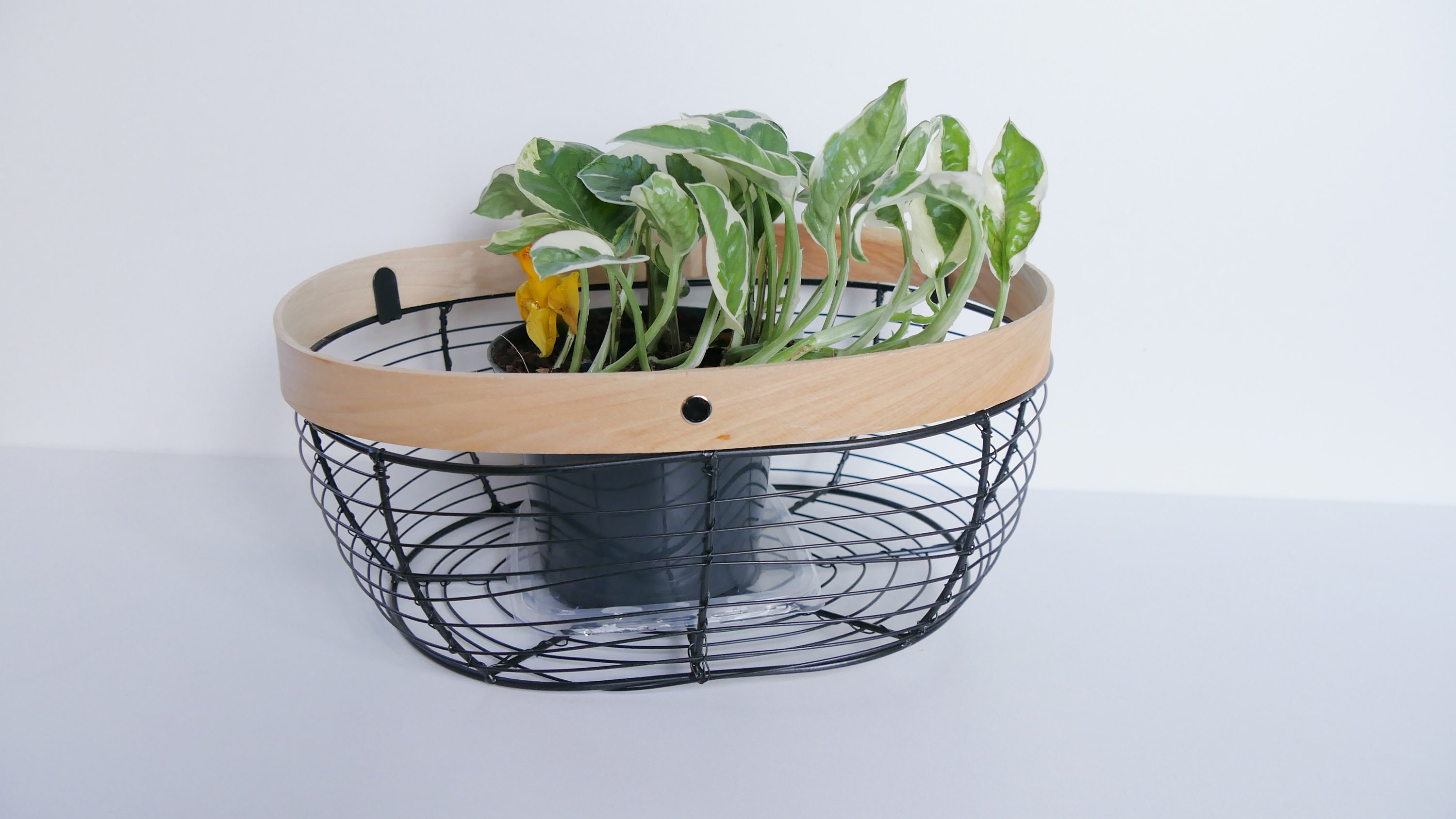 Alambre de cesta Cesta de frutas Cestas de decoración | Etsy