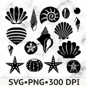May include: A collection of black silhouette illustrations featuring various seashells, starfish, and sand dollars arranged on a white background. The text SVG PNG 300 DPI is printed at the bottom of the image in a bold black sans-serif font.