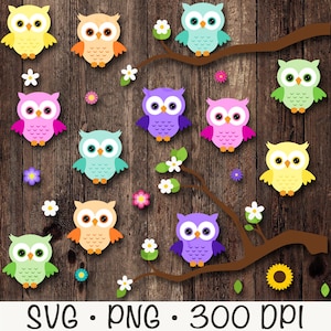 Eule Bundle-Pack, Eule SVG, Eule PNG, Eule Clipart, süße Eule, Gänseblümchen Blume, Sonnenblume, Zweig, digitaler Download
