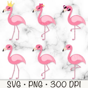May include: Set of six pink flamingo illustrations with different accessories. The flamingos are in various poses, including standing on one leg, with a crown, a flower, and sunglasses.