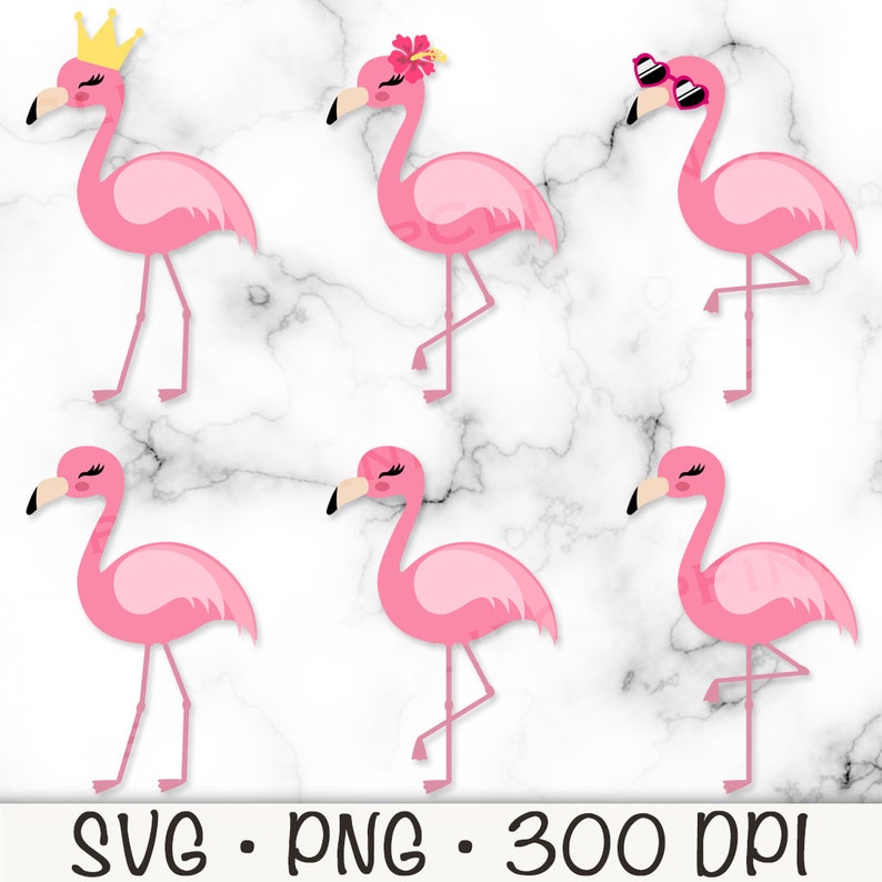 May include: Set of six pink flamingo illustrations with different accessories. The flamingos are in various poses, including standing on one leg, with a crown, a flower, and sunglasses.