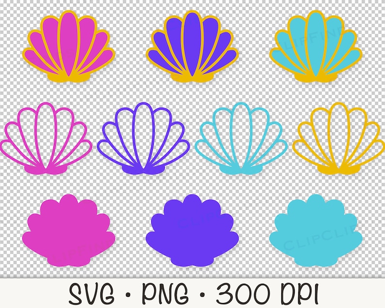 Seashell SVG PNG Clipart: Colorful Sea Life Graphics (digital Download ...