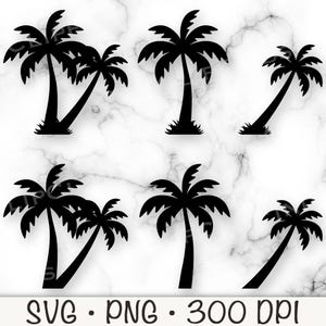 Palm Tree SVG, plik wektorowy do cięcia i przezroczyste tło PNG, grafika wektorowa, natychmiastowe pobieranie cyfrowe