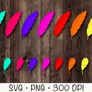 Feather SVG, Bright Colorful Feathers, Vector Cut File and PNG Transparent Background, Sublimation, Clip Art, Instant Digital Download