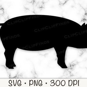 Varken vector gesneden SVG-bestand en transparante PNG-achtergrond direct downloaden