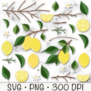 Lemon Clipart Bundle Pack, Lemon Branch SVG, Lemon Elements, DIY, Half Lemon, Lemon Slice, Lemon Wedge, Lemon Tree Flower, Digital Download