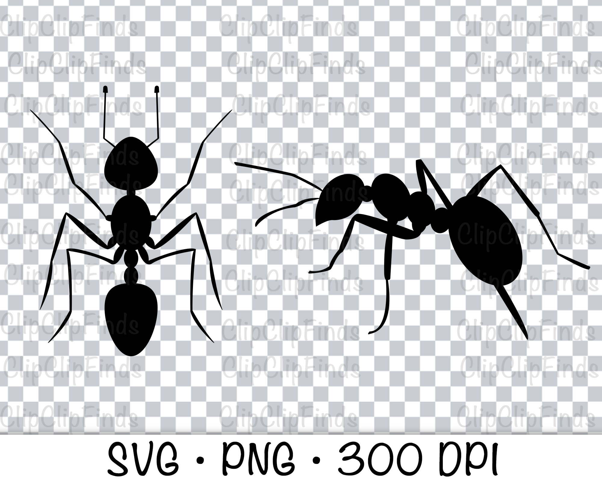 Free Printable Ant Clipart