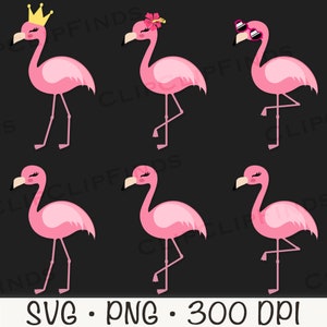 May include: Set of six pink flamingo illustrations with different accessories. The flamingos are in various poses, including standing on one leg, with a crown, sunglasses, and a flower.