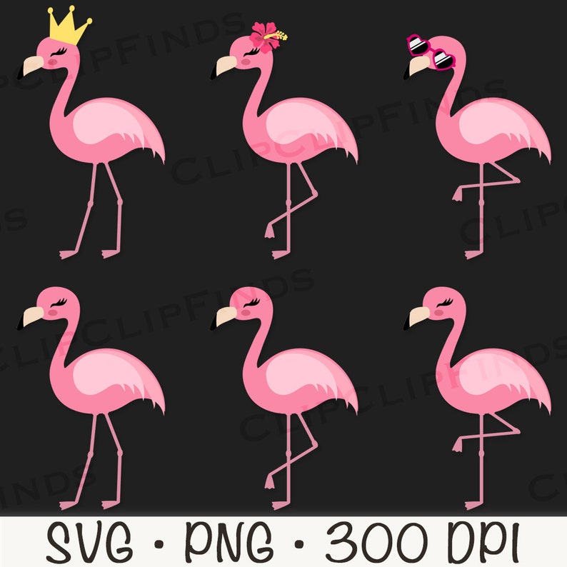 May include: Set of six pink flamingo illustrations with different accessories. The flamingos are in various poses, including standing on one leg, with a crown, sunglasses, and a flower.