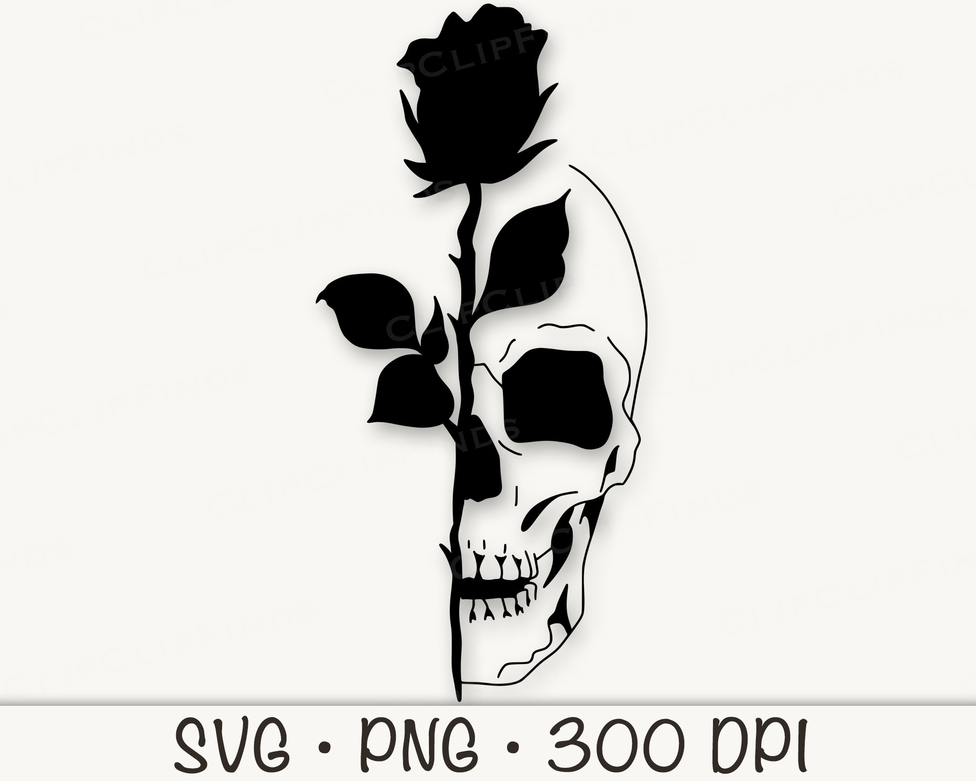 Skeleton Skull With Rose SVG File and PNG Transparent Background