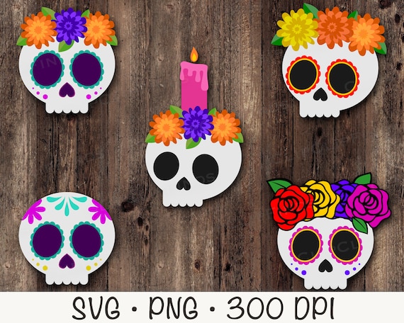 7 Marigold Skull Png Floral Skulls Clipart Bundle With Transparent  Background for Commercial Use 
