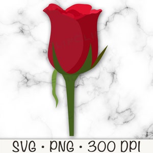 Rose SVG, Red Rose PNG, Red Rose Clipart, Single Rose, Rose Bud, Stem Rose, Digital Download