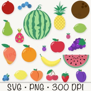 Obst Clipart, Obst SVG, PNG, Sommer Clipart, Mango, Kiwi, Erdbeere, Blaubeere, Banane, Wassermelone, Kokosnuss, Ananas, digitaler Download