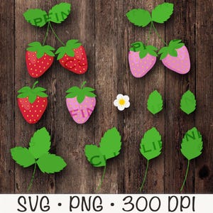 イチゴの SVG、イチゴの PNG クリップアート、花と葉のあるピンクのイチゴ、イチゴの花、インスタント デジタル ダウンロード