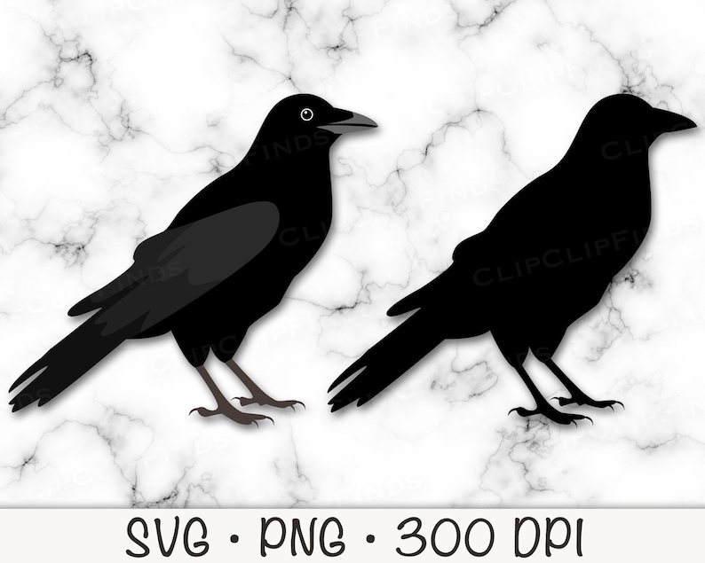 Two Crows Svg Crow Clip Art: Hand-drawn Bird SVG, PNG (digital Download) - Etsy