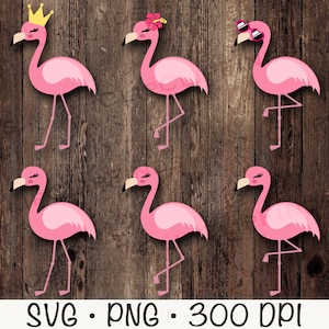 May include: Six pink flamingo illustrations with different accessories. The flamingos are standing on one leg with their necks curved. The accessories include a crown, a flower, sunglasses, and a simple design.