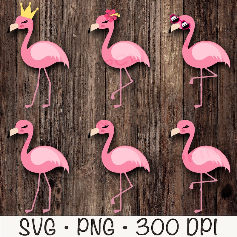 May include: Six pink flamingo illustrations with different accessories. The flamingos are standing on one leg with their necks curved. The accessories include a crown, a flower, sunglasses, and a simple design.