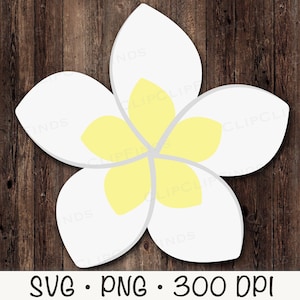 Plumeria Flower, Hawaiian Flower, SVG, PNG, Clip Art, Instant Digital Download